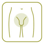 Scrotum Waxing